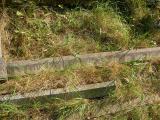 image of grave number 147209